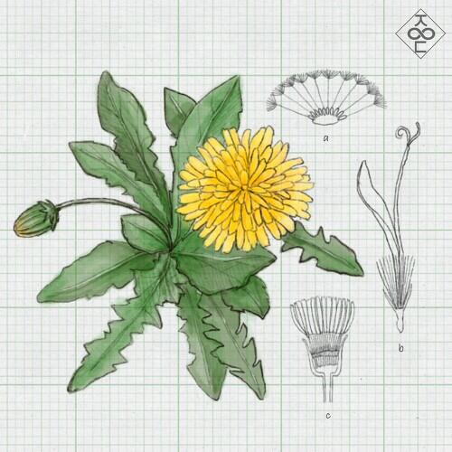 Seo Jieum (서지음) – Pluto (명왕성) cover
