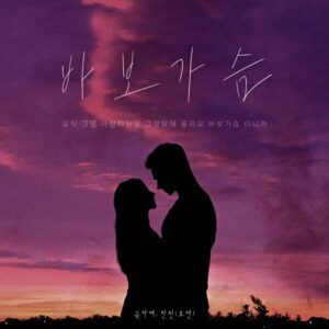 Song Ha Ye – An Idiotic Heart (바보가슴) (With Hanbin) cover