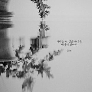 2AM – Echoes of Love’s Journey (사랑은 먼 길을 돌아온 메아리 같아서) cover